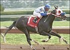 Reason to Talk Earns Doubledogdare Win Reason to Talk Earns Doubledogdare Win