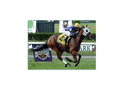 Lucifer's Stone, ridden by Jose Santos, captures the Garden City Breeders' Cup, Sunday at Belmont.