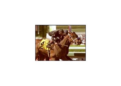 Buddy Gil, foreground, and Indian Express, in Santa Anita Derby photo finish.