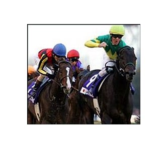 Zenno Rob Roy, right, wins the 24th running of the Japan Cup at Tokyo Racecourse.