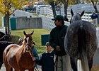 Keeneland Posts Double Digit Gains Keeneland Posts Double Digit Gains