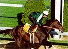 Millennium Wind, preparing for last year's Kentucky Derby.