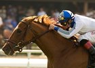 Starry Pursuit Retired Starry Pursuit Retired