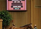 A bay filly by Tiznow -- Storminthegarden brought $500,000 during the second session of the Keeneland September yearling sale.
