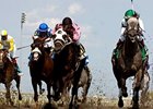 Ice Bear Shoots For Eclipse Stakes Repeat Ice Bear Shoots For Eclipse Stakes Repeat