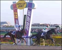 El Condor Pasa Colt Alondite Wins Japan Cup Dirt El Condor Pasa Colt Alondite Wins Japan Cup Dirt