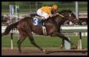 Came Home Impressive in San Vicente Stakes Came Home Impressive in San Vicente Stakes