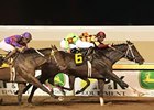 Pleasant Storm Tops OK-bred Classic Pleasant Storm Tops OK-bred Classic