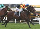 Alamosa powers down the stretch to take the Toorak Handicap.