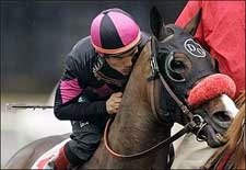 Lava Man Rolls On in Sunshine Millions Turf Lava Man Rolls On in Sunshine Millions Turf