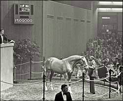 A Memorable Date: First Seven-Figure Yearling Sold A Memorable Date: First Seven-Figure Yearling Sold