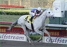 Kaufy Mate Overpowers Aventura Stakes Kaufy Mate Overpowers Aventura Stakes