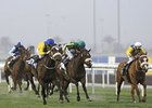 Mahbooba Easy Winner of Balanchine Mahbooba Easy Winner of Balanchine