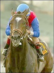 Citing Weight, Frankel Takes Medaglia d'Oro Out of Big 'Cap Citing Weight, Frankel Takes Medaglia d'Oro Out of Big 'Cap