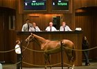 OBS March Sale Results Provide Hope OBS March Sale Results Provide Hope