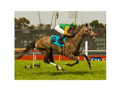 Well Monied will make her first start in 11 months in the Wilshire Handicap at Hollywood Park.<br><a target="blank" href="http://www.bloodhorse.com/horse-racing/photo-store?ref=http%3A%2F%2Fpictopia.com%2Fperl%2Fgal%3Fprovider_id%3D368%26ptp_photo_id%3D8175302%26ref%3Dstory">Order This Photo</a>