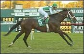 Johar Sweeps to Victory in Hollywood Derby Johar Sweeps to Victory in Hollywood Derby