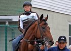 Michael Iavarone hopes Big Brown does most of the talking come Saturday.