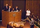 Aptitude Colt Sells for $350,000 at Fasig-Tipton Aptitude Colt Sells for $350,000 at Fasig-Tipton