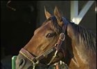 Dollar Bill gets new jockey for Travers.