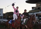 City Banker Tops in Argentine "Breeders' Cup" City Banker Tops in Argentine "Breeders' Cup"