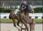 Multiple Choice captures The Sports Page at Aqueduct Saturday.