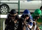 Slew's Tiznow Scratched Due to Fever Slew's Tiznow Scratched Due to Fever