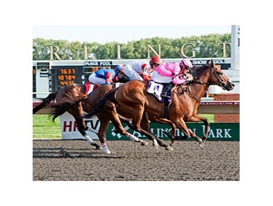 Havelock comes on late to win the Hanshin Cup.