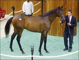 $2.7 Million Unbridled Colt Tops Saratoga Sale; Sharp Gains Again $2.7 Million Unbridled Colt Tops Saratoga Sale; Sharp Gains Again