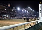 Churchill Downs has scheduled six night racing programs for 2010.