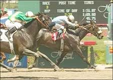 Proposed Leads Her Own Parade at Hollypark Proposed Leads Her Own Parade at Hollypark