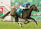 Arravale was Horse of the Year in Canada in 2006.