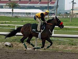 Lava Man to Skip Record Gold Cup Attempt Lava Man to Skip Record Gold Cup Attempt