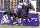 Domedriver, winning the Breeders' Cup Mile.