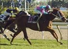 Clear win for Cloudy's Knight in Sky Classic.