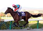 Transcend won the Japan Cup Dirt in 2010 and 2011.