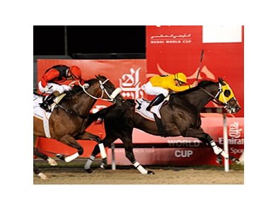 Kinsale King won the 2010 Golden Shaheen.