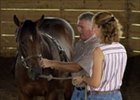 Michelle and Jody Huckabay working with a yearling in the round pen at their Elm Tree Farm near Paris, Ky.