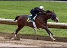 Elusive Quality colt, posted fastest workout time at Keeneland sale workouts.