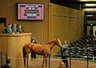 Hip 541 sold for $540,000 in the 2011 Keeneland January Sale.