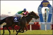Jungle Pocket Japan's Horse of the Year; Wagering Suffers Declines Jungle Pocket Japan's Horse of the Year; Wagering Suffers Declines