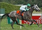 Seven-time graded stakes winner Wait a While heads a strong lineup in the Flower Bowl.<br><a target="blank" href="http://www.bloodhorse.com/horse-racing/photo-store?ref=http%3A%2F%2Fpictopia.com%2Fperl%2Fgal%3Fprovider_id%3D368%26ptp_photo_id%3D2087335%26ref%3Dstory">Order This Photo</a>