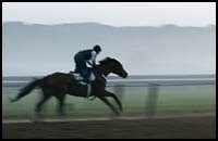 Breeders' Cup Horses Have Fast Morning Breeders' Cup Horses Have Fast Morning