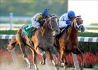 Curlin (left) comes from behind in the stretch to catch Lawyer Ron in Gold Cup win.