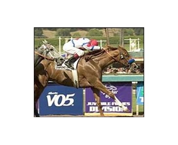 Diamond Omi, right, battles Wild Fit down the stretch to win the Oak Leaf Stakes.