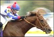 Trainer Says Azeri is Horse of the Year Material; May Face Males in 2003 Trainer Says Azeri is Horse of the Year Material; May Face Males in 2003