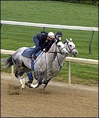 Baffert Pleased With Workouts by Derby Contenders Baffert Pleased With Workouts by Derby Contenders
