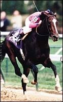 Horse of the Year Tiznow in Saturday's Strub Stakes Horse of the Year Tiznow in Saturday's Strub Stakes