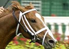 First Winner for Champion English Channel First Winner for Champion English Channel