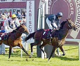 Ballydoyle-trained Brian Boru Wins St. Leger Ballydoyle-trained Brian Boru Wins St. Leger